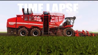 Grimme REXOR 6300 Platinum Sugarbeat Harvest TIMELAPSE [upl. by Converse]