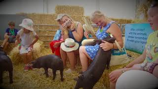 BBC Countryfile Live 2018 Open Now [upl. by Sulamith983]