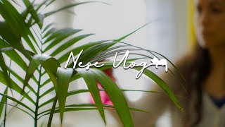 Je sauve une plante en détresse  Recette de répulsif maison  Neşe Vlog 13 [upl. by Suqram239]