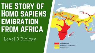 The Journey Out Of Africa  Year 13 Biology [upl. by Trautman643]