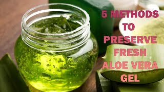 Preserve Aloe Vera Gel At Home [upl. by Kuth410]