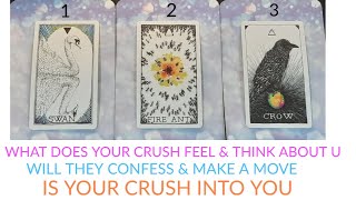 PICK A CARD 🔮 WHAT DOES YOUR CRUSH THINK amp FEEL ABOUT U 😍 IS UR CRUSH INTO U 🤔ALL DETAIL TIMELESS [upl. by Ecirtael]