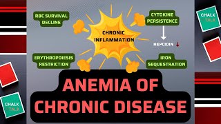 Anemia of Chronic Disease [upl. by Gimble]