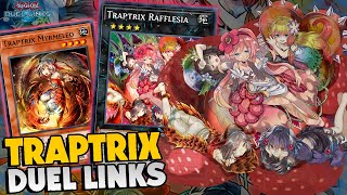 TRAPTRIX NO DUEL LINKS O DECK PODIA SER MELHOR [upl. by Yerggoeg]