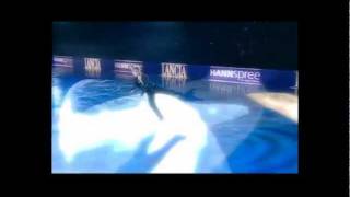 Golden Celebrities on Ice  Rome 2011  Rand ProductionsYouTube [upl. by Cristiano]