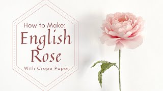 HOW TO MAKE CREPE PAPER ENGLISH ROSES  SCEPTERD ISLE  Colour quotwithoutquot PAN PASTEL [upl. by Peisch]