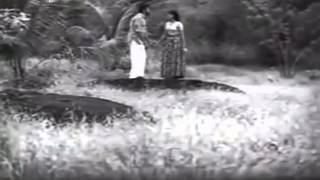 Marivillu Panthalitta  Theerthayathra1972 [upl. by Buskirk]