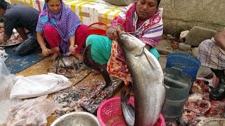 Woman Fish Cutting Worker In Fish Market  Faster Fish Slice By Lady [upl. by Bathelda]