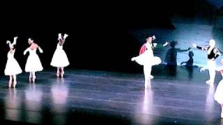 Ballet Trocadero Part of Swan Lake [upl. by Stronski]