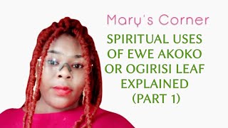 SPIRITUAL USES OF EWE AKOKO OR OGIRISI LEAF EXPLAINED PART 1 [upl. by Tenom]