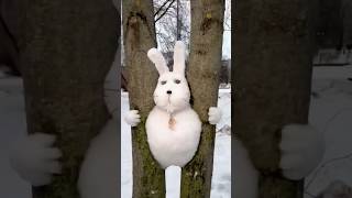 Amazing Trick To Catch Rabbits shortsvideo [upl. by Stag]