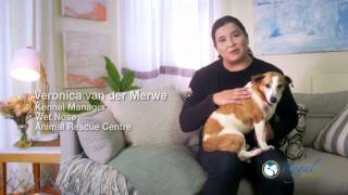 REGAL PET HEALTH  First TV advertisement English [upl. by Jamin]