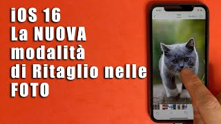 Come Ritagliare dallo Sfondo e Spostare un Soggetto dalle Foto su iOS 16 dell iPhoneiPad [upl. by Irrac877]