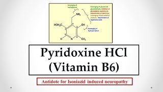 Pyridoxine HCl Vitamin B6 uses antidote effects mechanism indications and ADRs ☠ [upl. by Gorrian192]