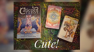 Caticorn Tarot  Walkthrough amp First Impressions [upl. by Llenral281]