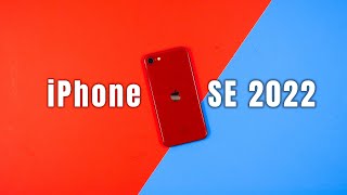 The iPhone SE 3rd Gen in 2024 Still Worth It [upl. by Ahsai]