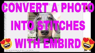 EMBIRD CLASS Convert a photo into stitches Embird Sfumato Stitch [upl. by Erdied698]