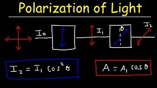 Polarization of light Problems Malus Law  Intensity amp Amplitude  Physics [upl. by Ogram]