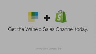 Wanelo Sales Channel [upl. by Baalbeer705]