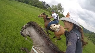 Epic horse galloping with GoPro by KristyM Ranch [upl. by Giesser]