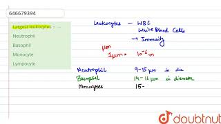 Largest leukocytes   12  HUMAN PHYSIOLOGY I  BIOLOGY  ALLEN  Doubtnut [upl. by Idroj187]