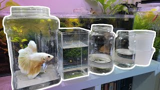 Different Betta Containers  How to Jar Betta Fish [upl. by Haggi]