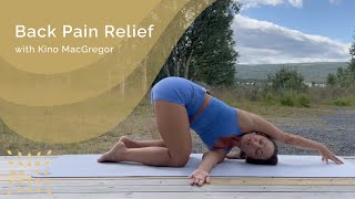 Back Pain Relief with Kino MacGregor [upl. by Gnut]