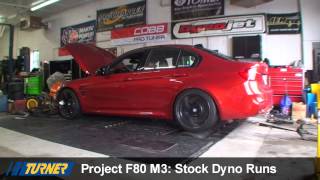 Turner Project F80 M3 Stock Dyno Run [upl. by Fitalludba953]