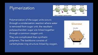 chapter 6 Polymer chemistry applications [upl. by Eniamraj]