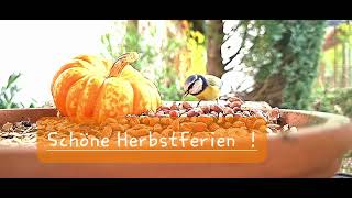 Schöne Herbstferien [upl. by Slater]