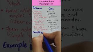 Difference Between Rhizome and CormUnderground Stems Rhizome vs Corm biology botany [upl. by Eveleen612]