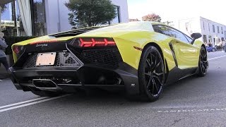 Lamborghini Aventador LP 7204 50Â° Anniversario Revs [upl. by Yelnikcm123]