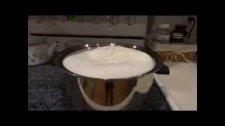 Easy Homemade Greek Yogurt Tutorial [upl. by Jemma204]