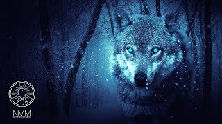 Native American Flute Music quotWolf Instinctquot Meditation Music for Shamanic Astral Projection 41804N [upl. by Halland719]