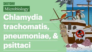 Chlamydia trachomatis pneumoniae amp psittaci  USMLE Step 1  Sketchy Medical [upl. by Elspet475]