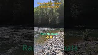 Alive On Island  Blue Creek Cowlitz River [upl. by Goff]