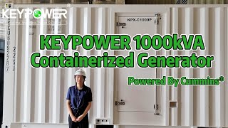 1000KVA Containerized Diesel Generators Powered By Cummins Engine [upl. by Kerred]