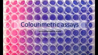 Colourimetric assays aka colorimetric assays What are they and how do they work [upl. by Aronos]