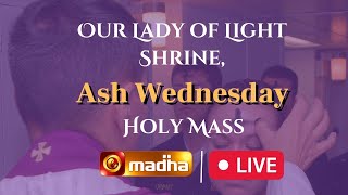 🔴 LIVE  Ash Wednesday Mass  14 February 2024  Tamil [upl. by Cr194]