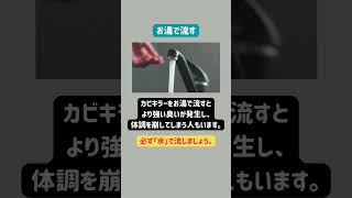 超危険⚠️カビキラーのNGな使い方まとめ５選 カビキラー カビキラーお風呂 カビ掃除 掃除術 [upl. by Innattirb334]