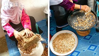 The Incredible Process of Making Argan Oil in Morocco Shorts [upl. by Ojyma36]