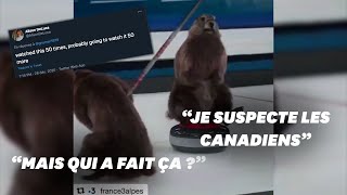 Les Américains découvrent les marmottes de France 3 et ils sont fans [upl. by Harts837]