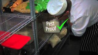 Food safety coaching Part 3 Pest control [upl. by Nob]