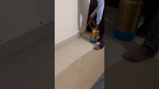 termites termitescontrol housecleaning homecleaning trending ytshorts viralvideo explore yt [upl. by Claude]