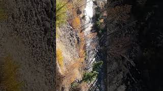 Spectacular view at Blakiston Falls waterton shorts waterfall [upl. by Lindell119]