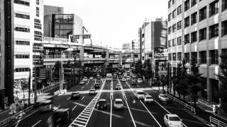 Tokyo  The Uptown Monotones [upl. by Bendix]