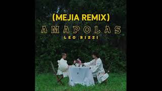 Leo Rizzi  Amapolas Mejia Remix [upl. by Hacissej]