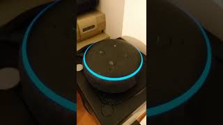 Alexa Detecta Actividad Paranormal en su Casa Parte 1 [upl. by Anoit]