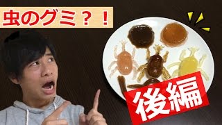 カブトムシとミミズを食べる（後編） [upl. by Deena]