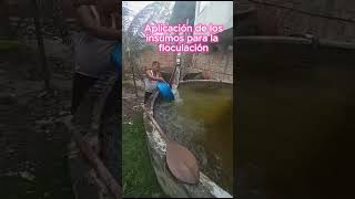 Parte 3 tratamiento de agua del subsuelo fish peces acuariofiliaironremover [upl. by Beatty]